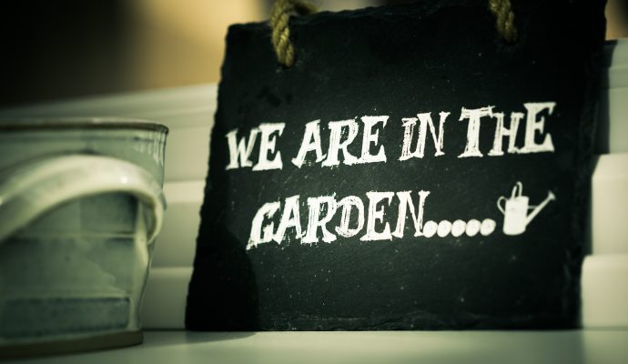 Backyard Gardening for Beginners – Part 2